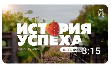 История успеха Клубника.jpg