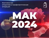 На территории Чайковского округа проводится профилактическая операция "Мак-2024"