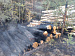 С 25 сентября  по 1 октября на территории Чайковского округа произошел 1 пожар