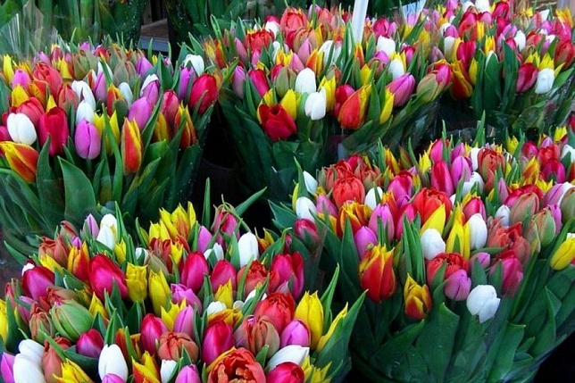 Определены места для продажи цветочной продукции в период с 5 по 8 марта